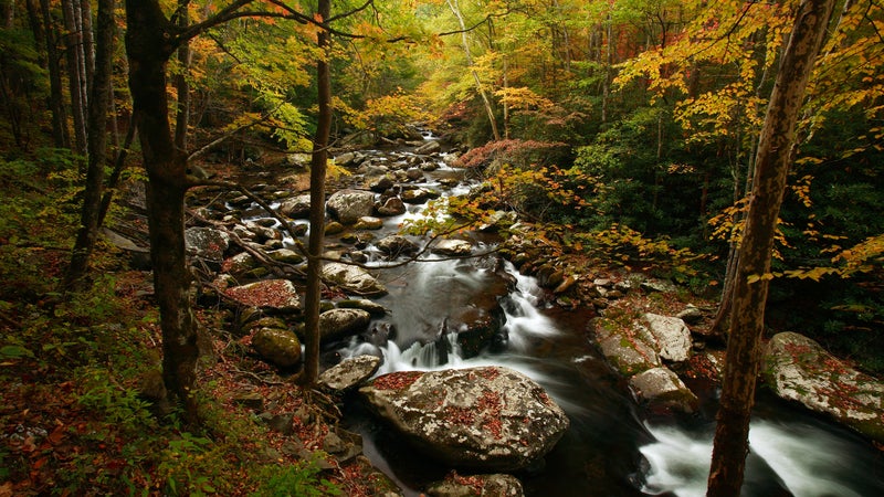 Great Smoky Mountains