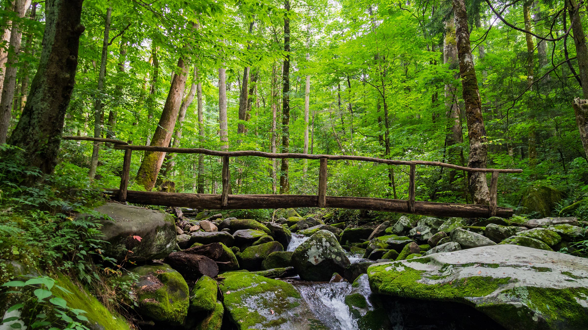 Great Smoky Mountains