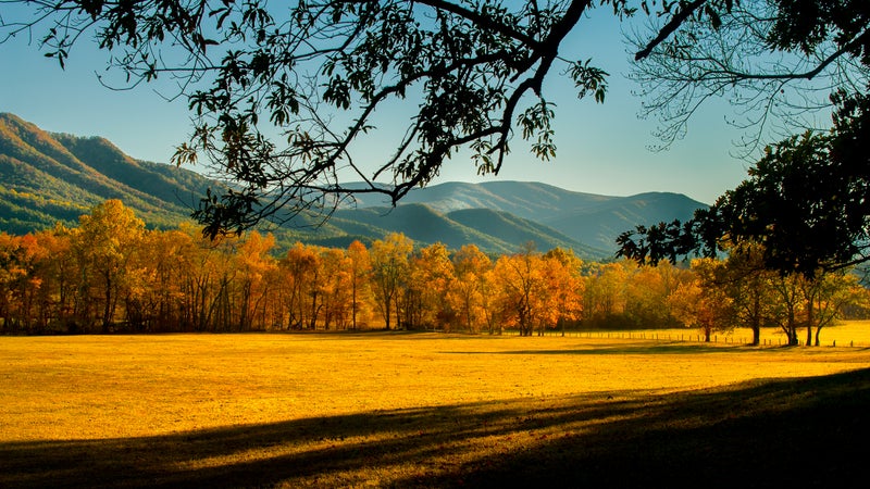 Great Smoky Mountains