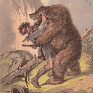 Bear-human encounters are on the rise, in part because more people than ever before are heading out into bear country.