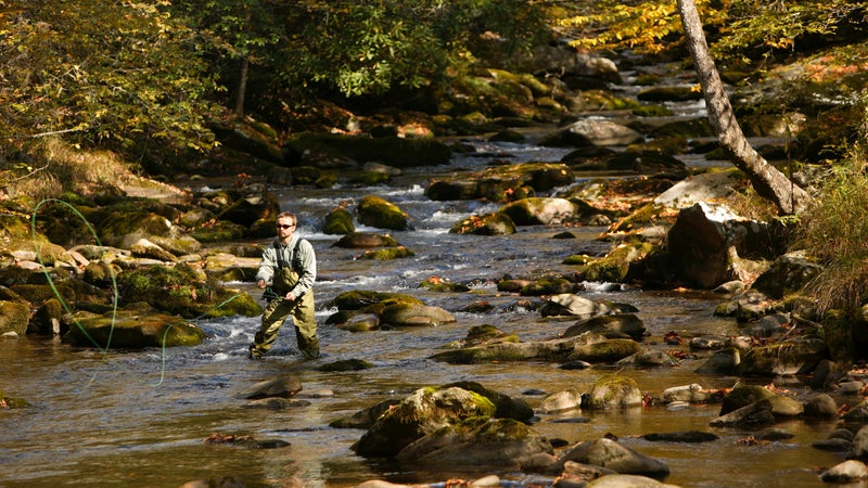 The Great Smoky Mountains National Park Guide - Outside Online