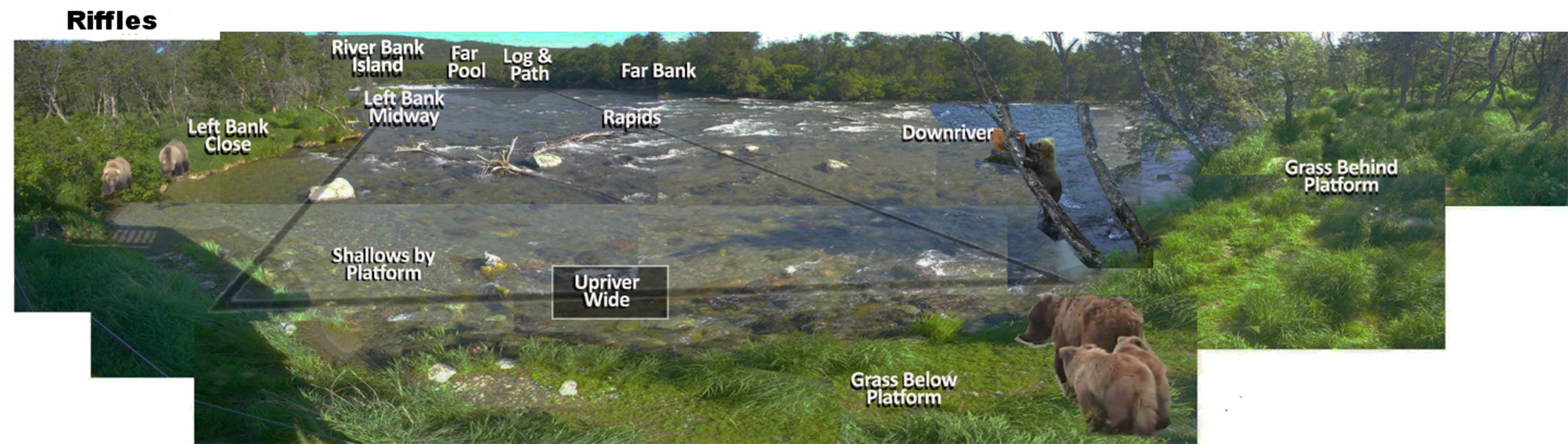 A bear habitat map used by volunteers for the Katmai National Park livestream