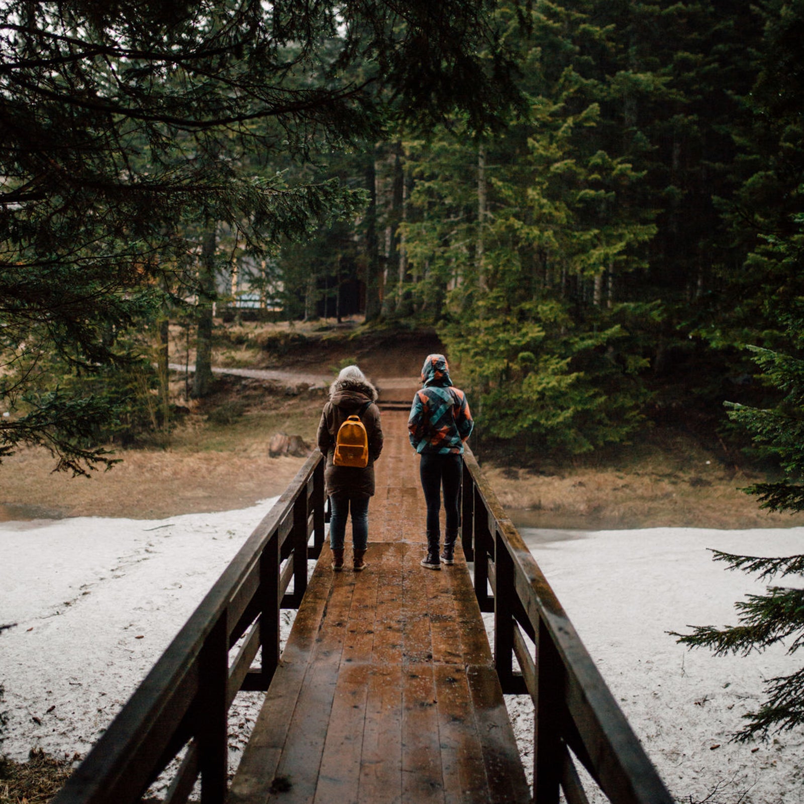 Friends in forest