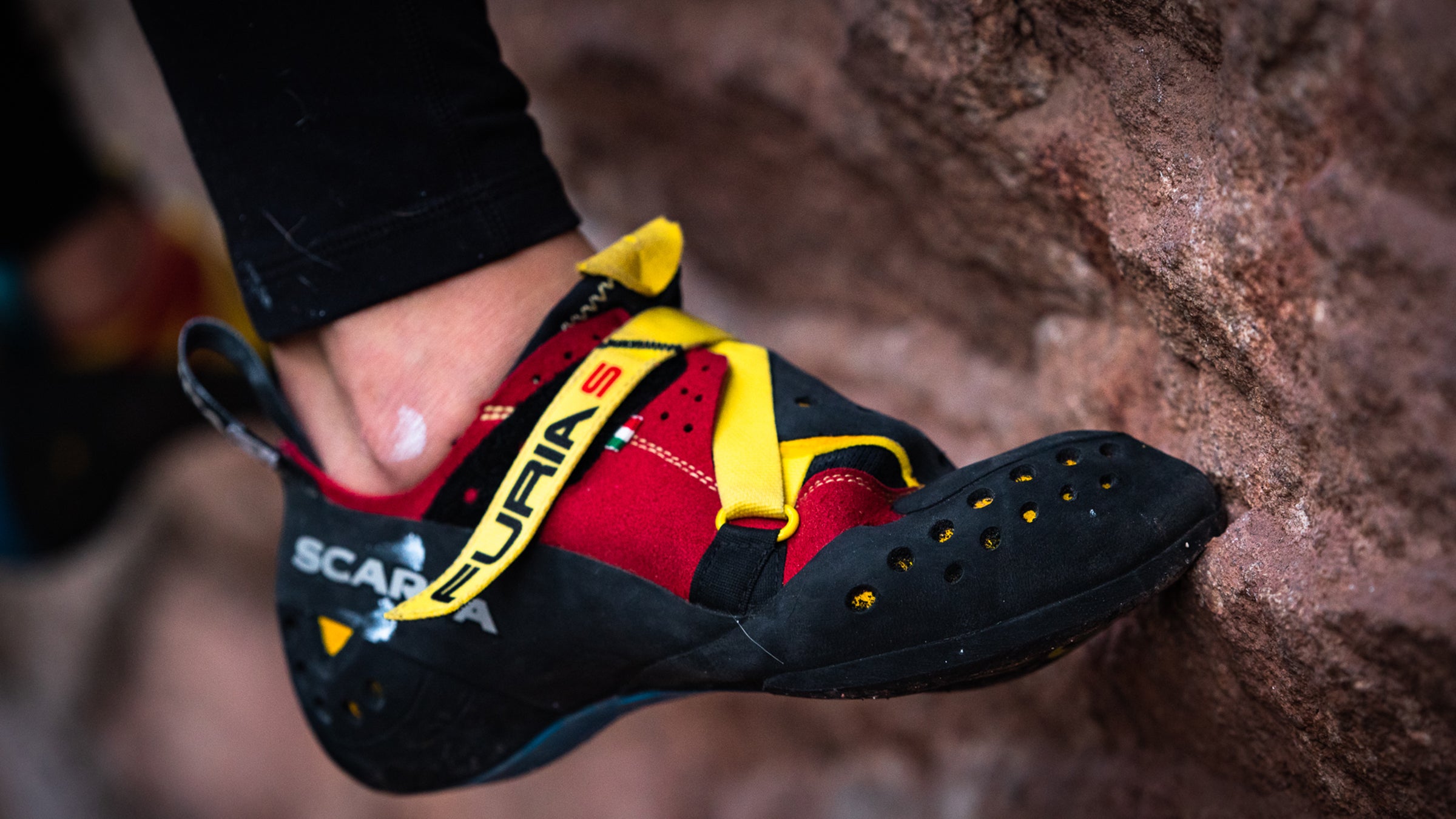 Best climbing store shoes 2019