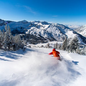 Tyler Peterson dropping into Patsy Marley at Alta