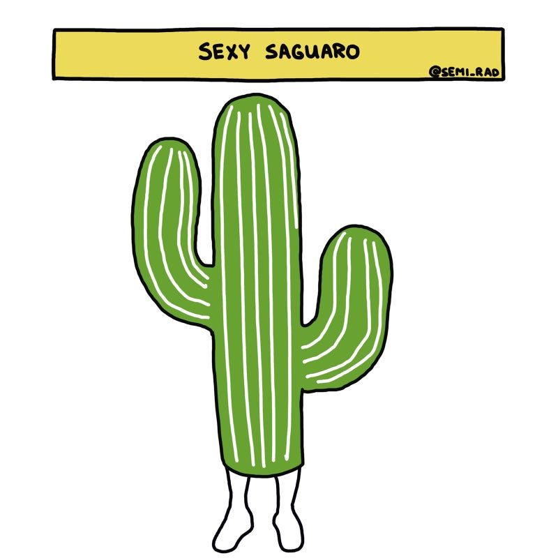 Saguaro Costume