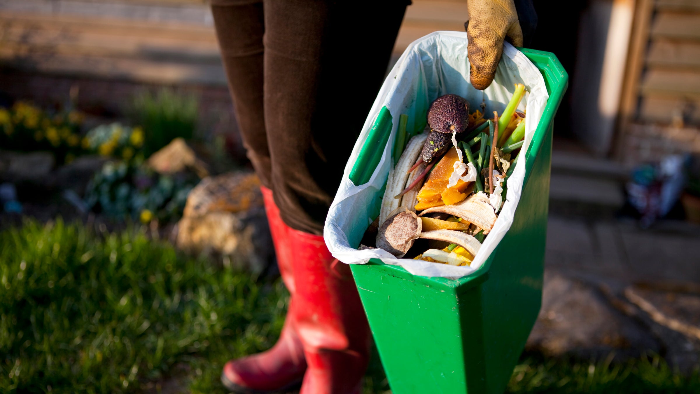 We have a food waste problem and we found it's not easy to fix.