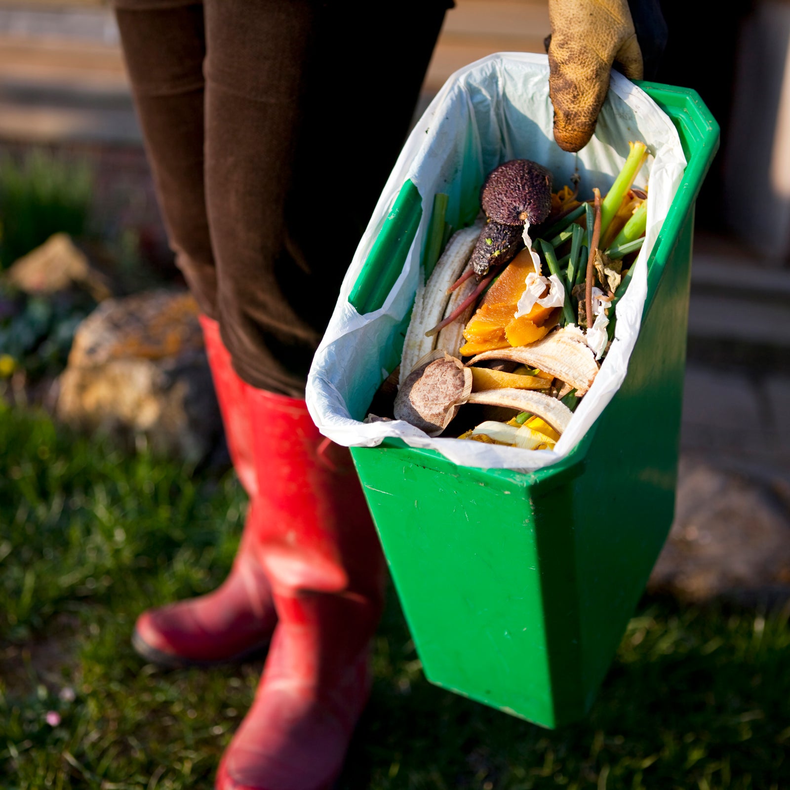 Yard Maintenance Stock Photo - Download Image Now - Yard - Grounds, Bag,  Garbage - iStock