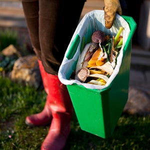 We have a food waste problem and we found it's not easy to fix.