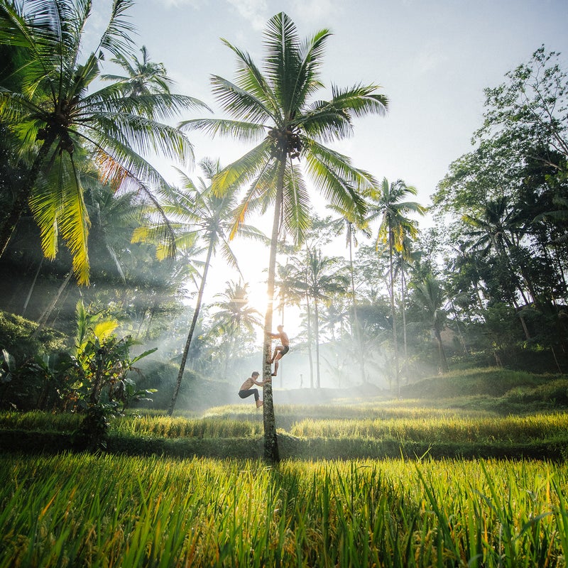 Location: Bali, Indonesia | Camera: OM-D E-M1X | Lens: M.Zuiko Digital ED 7-14mm F2.8 PRO | Settings: ISO 400, 7mm, f5.6, 1/4000 sec