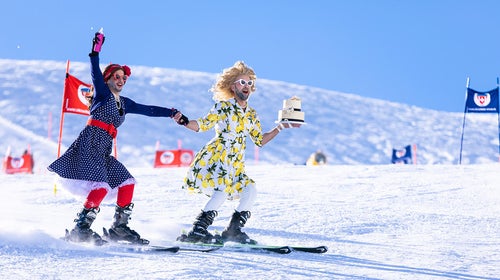 We’ve put together a guide to help you hit the slopes while partaking in a number of queer ski and snowboard events using mega-passes.