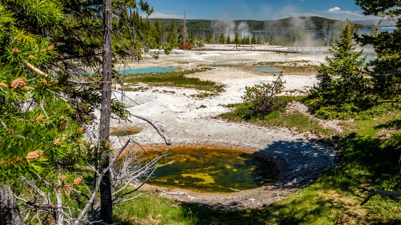 Yellowstone National Park