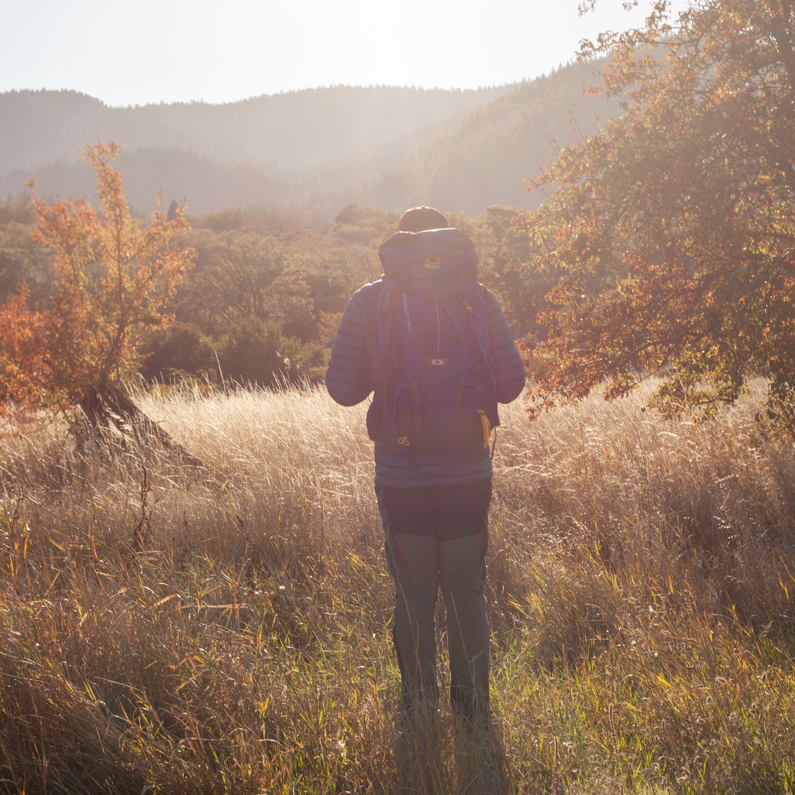 Light Economical Net (under 6 oz.) - Backpacking Light