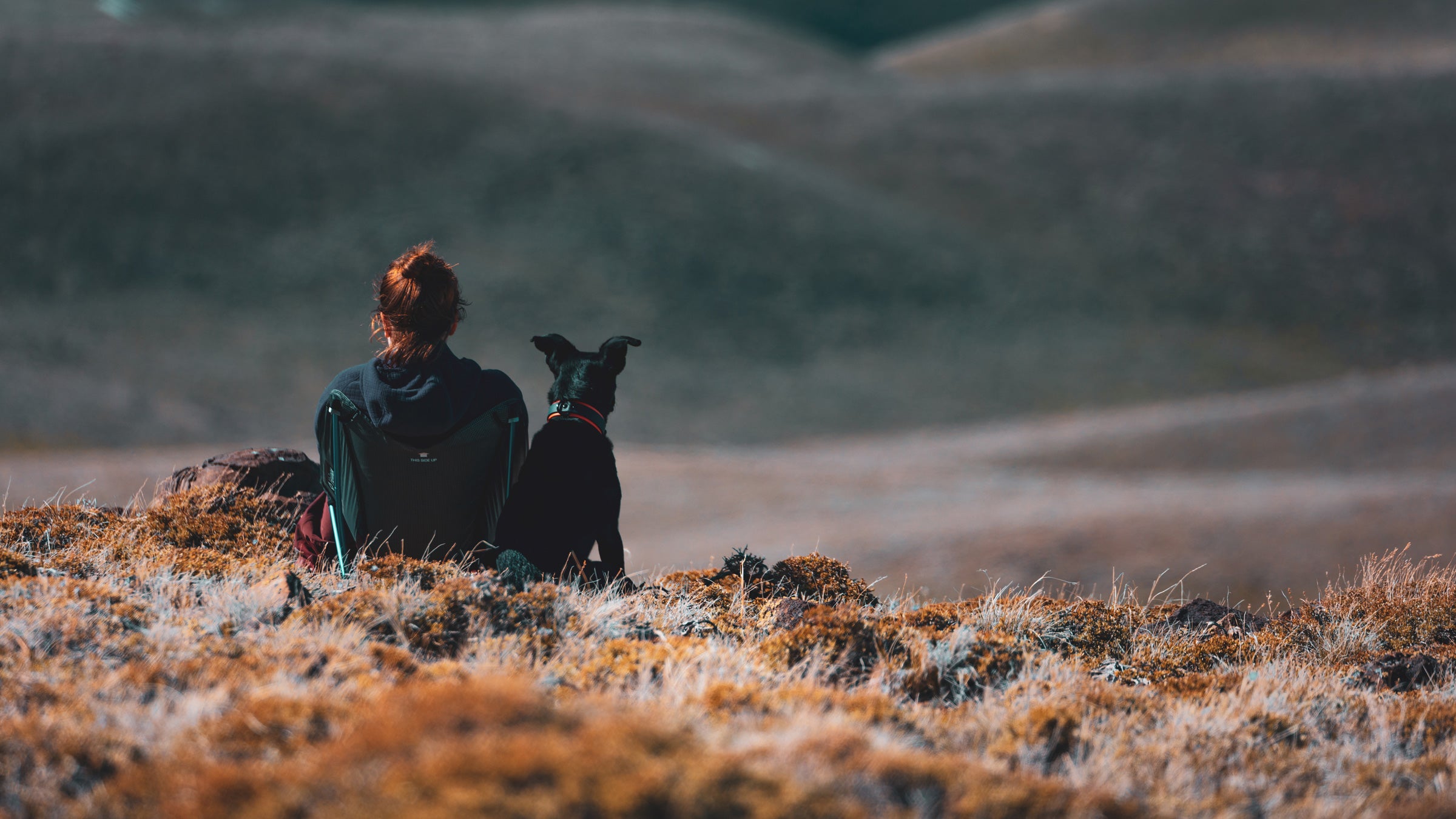 If you get an out-of-office message from us, we're probably doing this