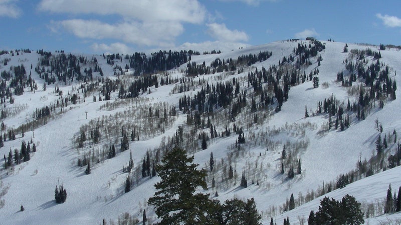 Ski in Utah