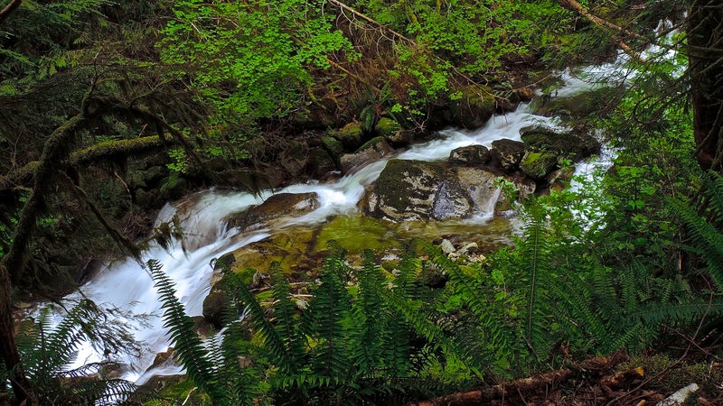 Nature around Seattle