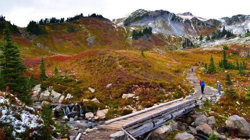 Epic vista on the best hikes near Seattle