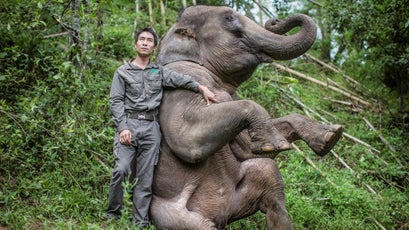 China’s Wild Elephant Valley in Jinghong