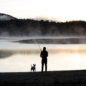 Man and dog