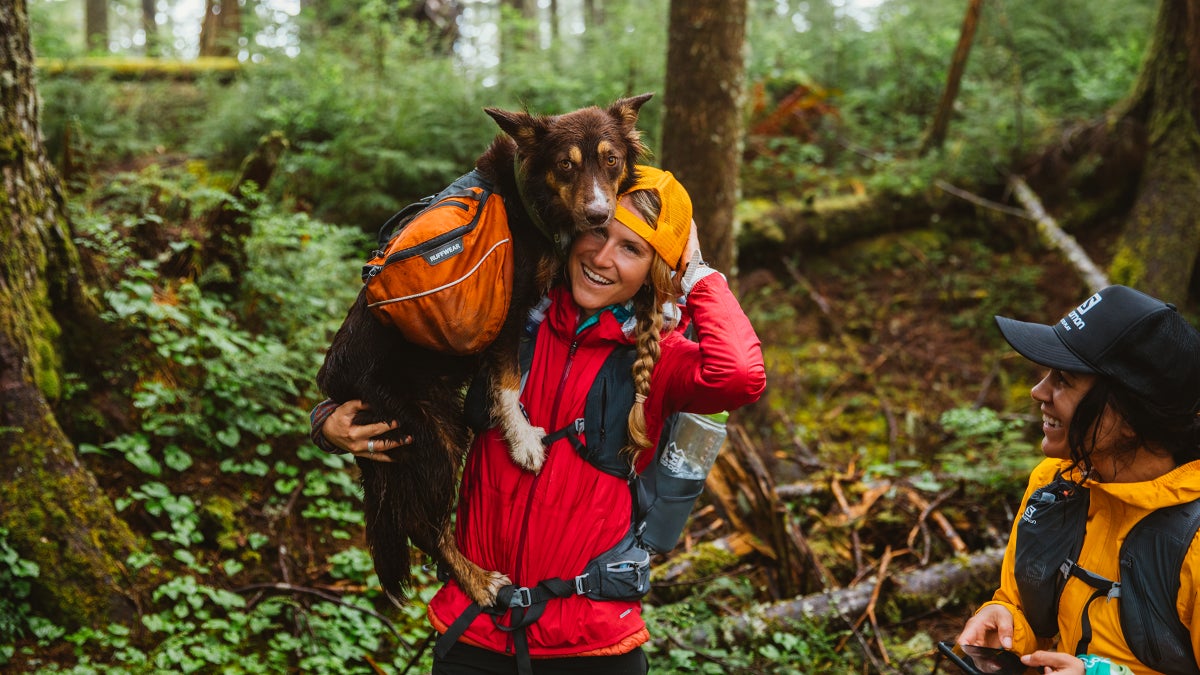 6 Things to Keep in Mind When Adventuring with a Dog