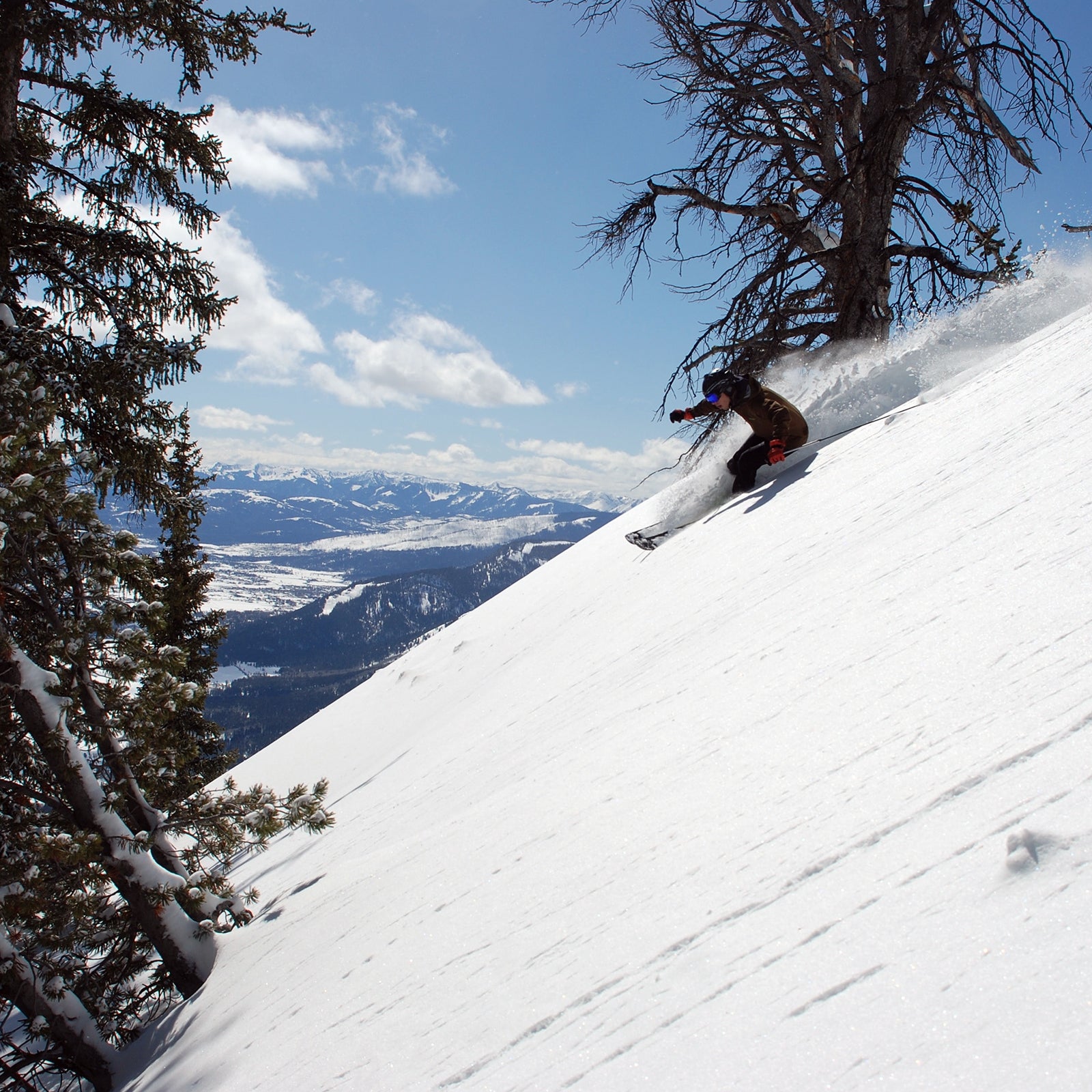 Chute ski clearance gear