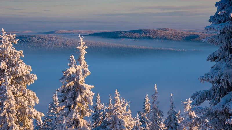The Finnish countryside