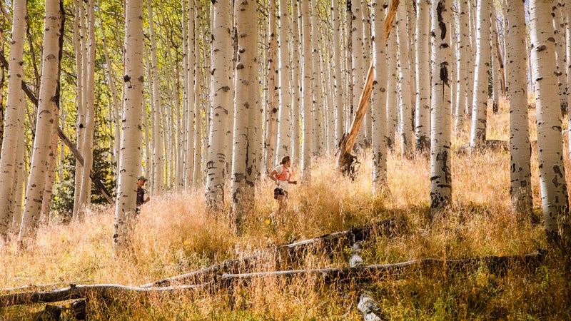 A group run through the aspens at one of Krar’s training camps