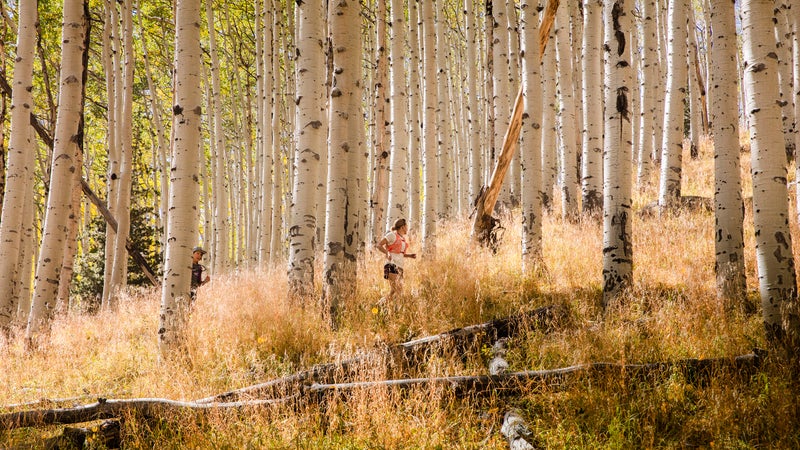 A group run through the aspens at one of Krar鈥檚 training camps