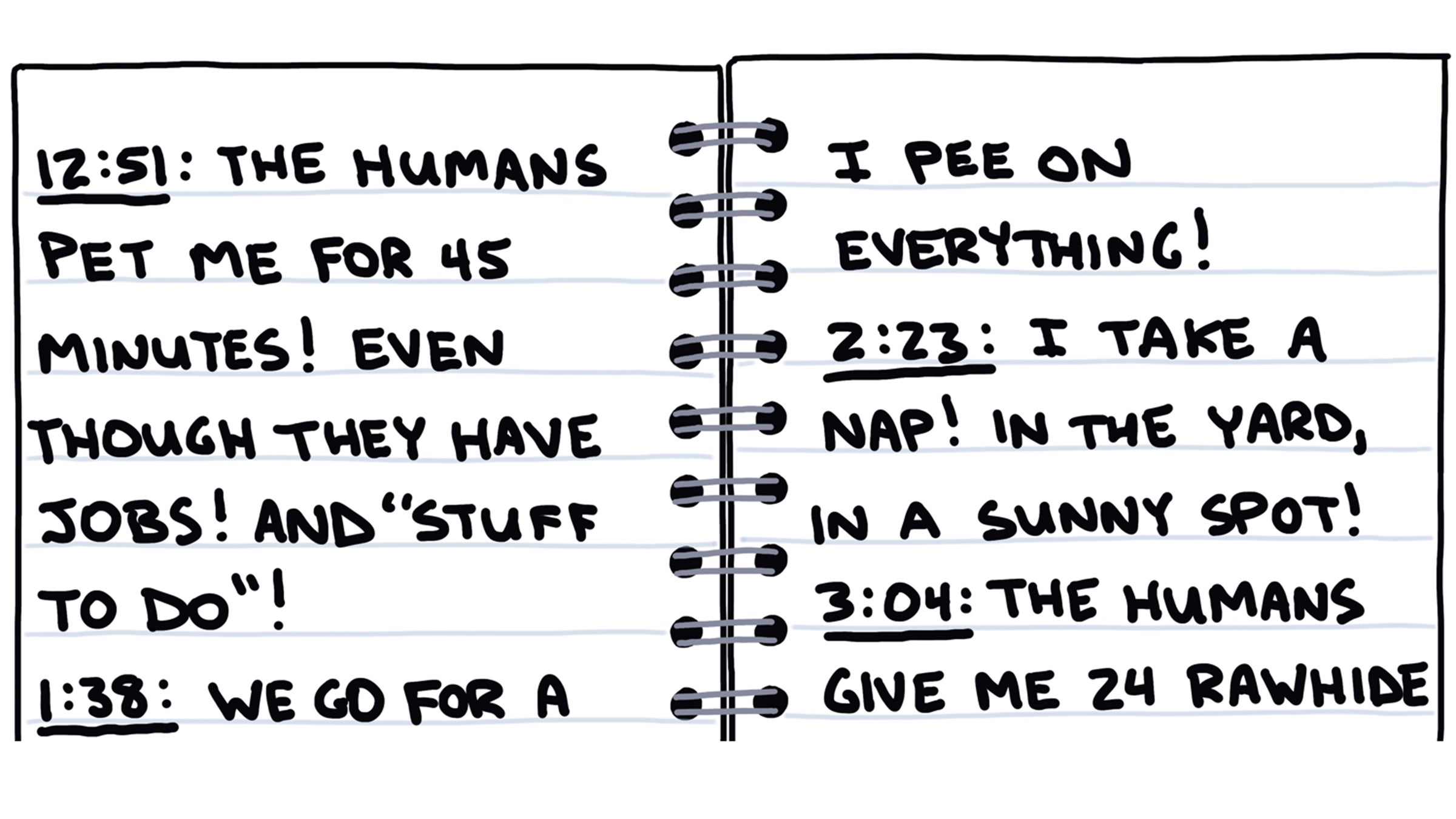 My Dog's Perfect Day