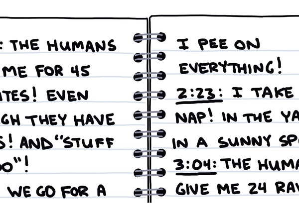 My Dog's Perfect Day