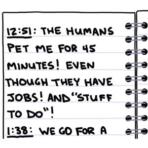 My Dog's Perfect Day