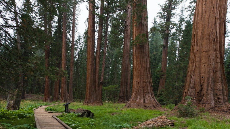 National Park Trails