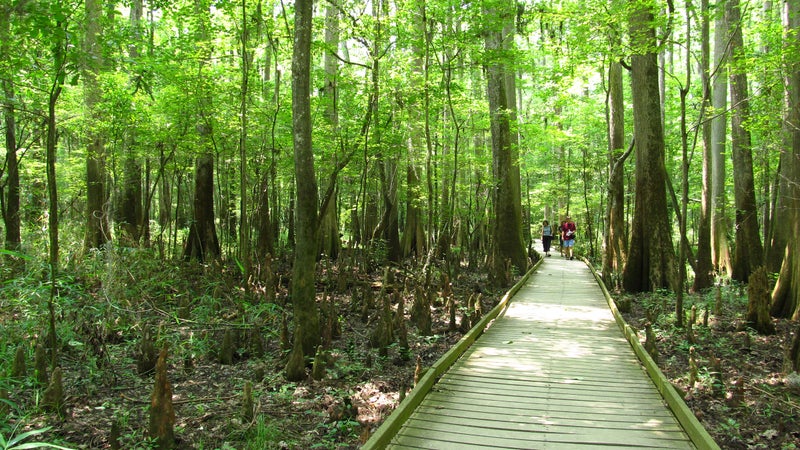 National Park Trails
