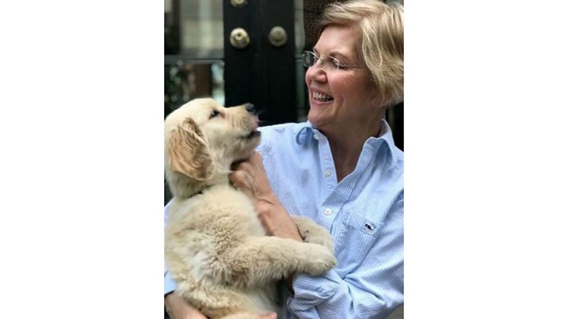 Elizabeth Warren has a dog, like a normal human being. Bailey is a good boy.