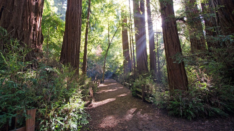 National Park Trails