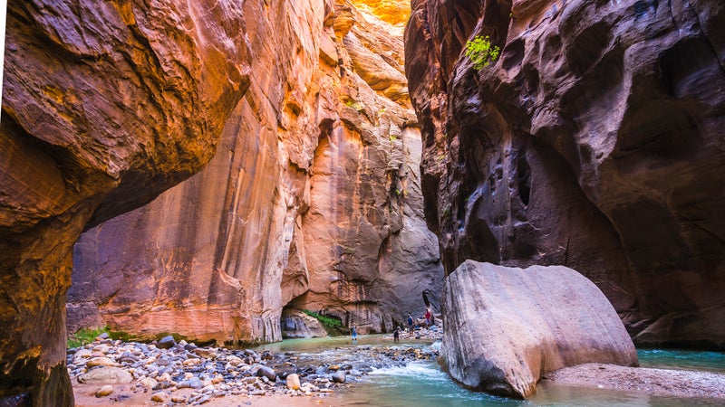 Zion National Park