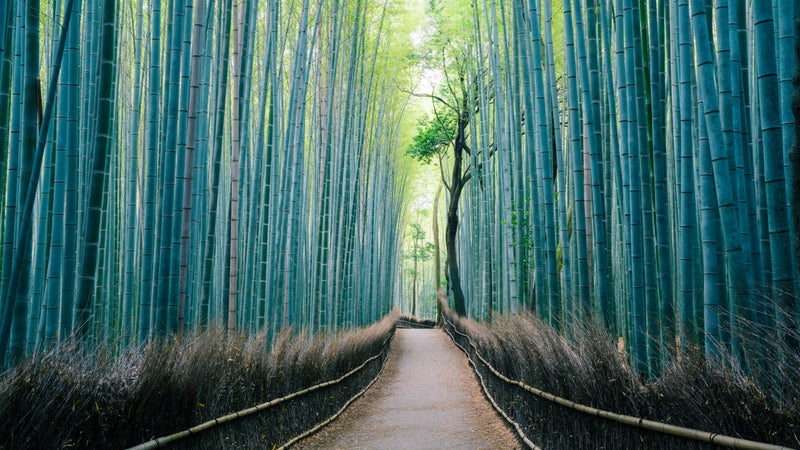 Marathon Destinations
