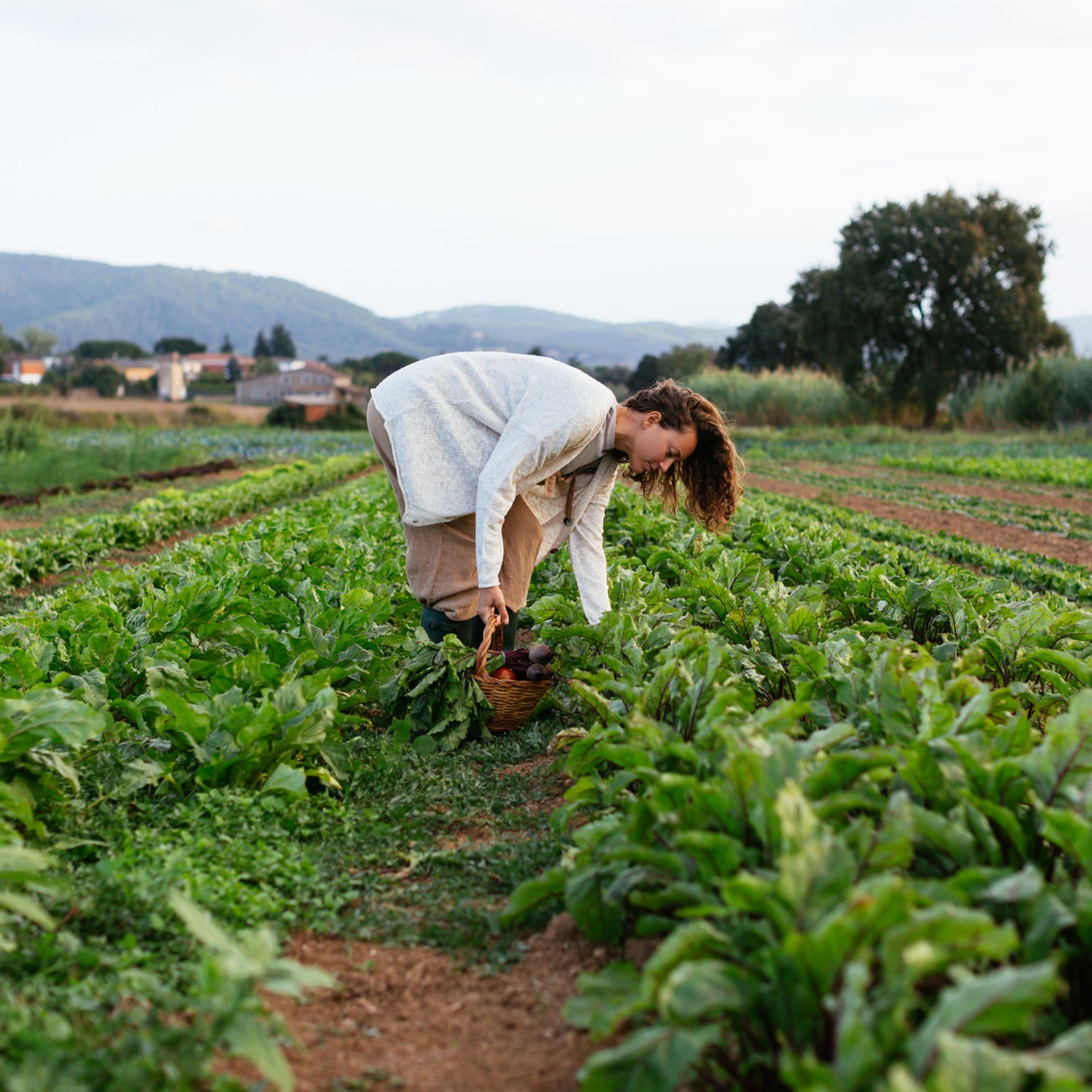 Ag creates food and fiber and jobs. And when it’s done right, it can act as a carbon sink.