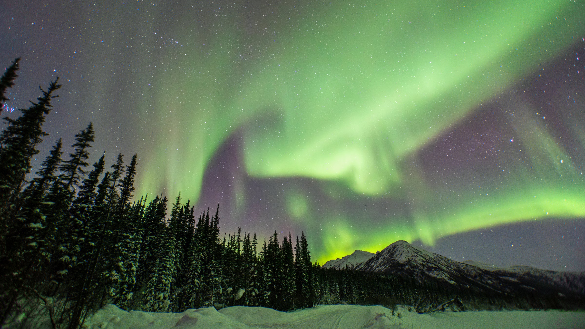 The Northern Lights: The True Story of the Man Who Unlocked the Secrets of  the Aurora Borealis