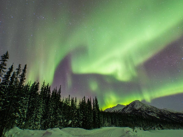 Aurora borealis on full display over Wiseman, Alaska