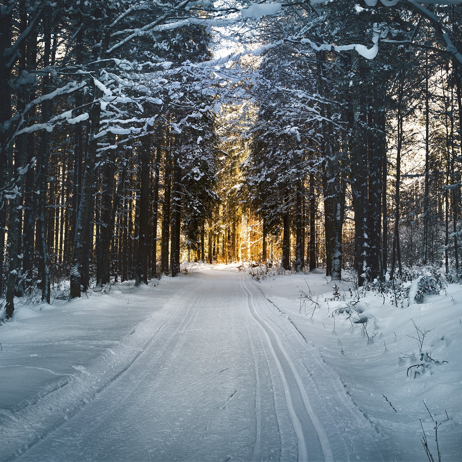 There are reasons why many cultures have rituals that point toward trying to find a light.
