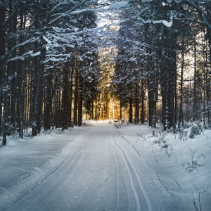 There are reasons why many cultures have rituals that point toward trying to find a light.