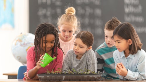 American Kids Aren't Learning About Climate Change