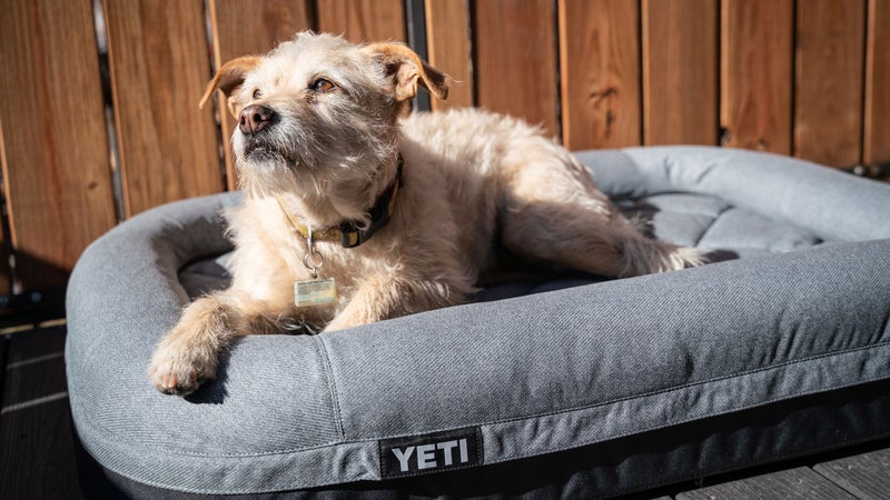 https://cdn.outsideonline.com/wp-content/uploads/2020/01/15/yeti_dog_bed_schiller_h.jpg?width=800