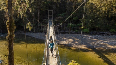 Paparoa Track