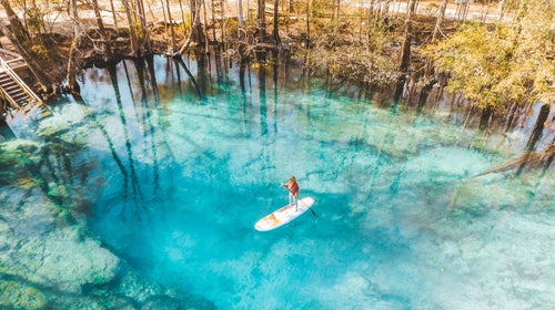 Ginnie Springs, a 35-minute drive southeast from Troy Spring, has a series of seven aquamarine pools along a two-mile trail that runs parallel to the Santa Fe River, filled with large gar, bass, and turtles.