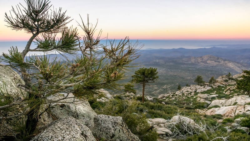 Baja California