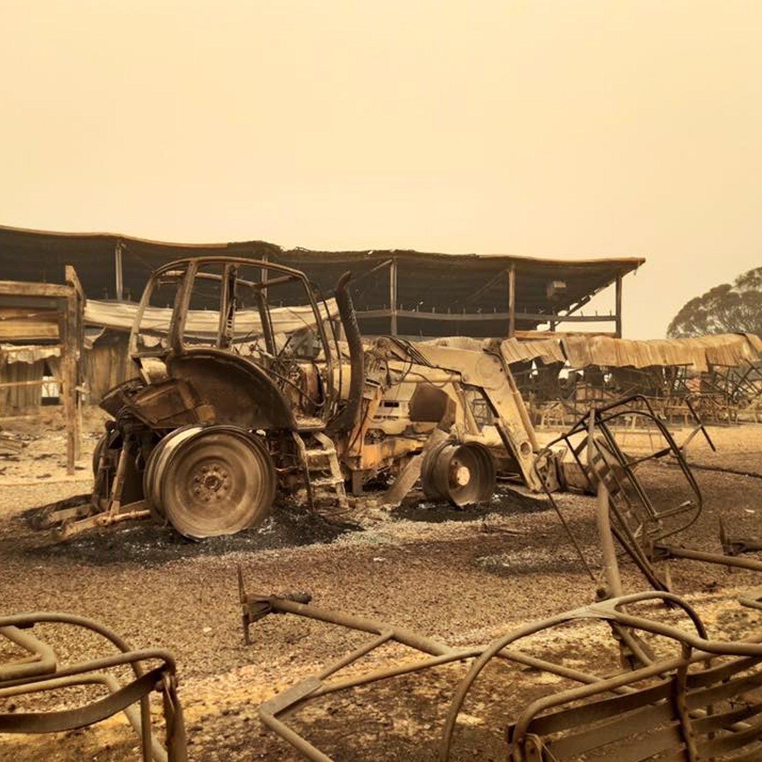 Selwyn Ski Area went up in flames on January 6, its base area buildings and lifts reduced to rubble and burned earth.