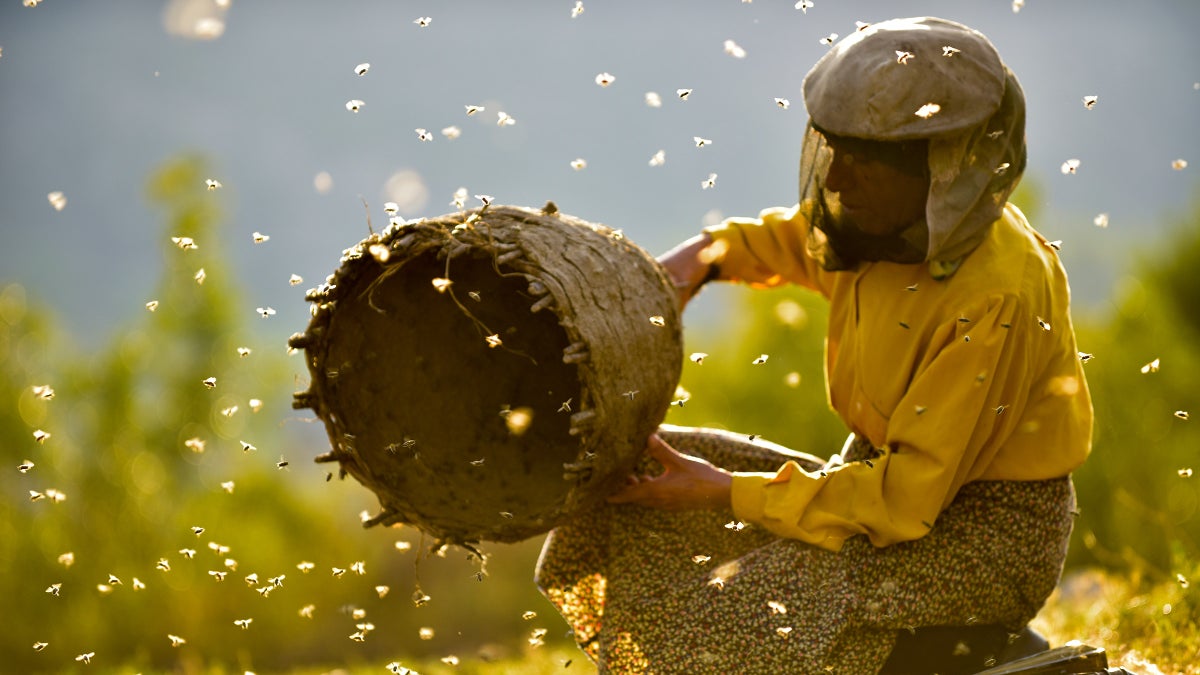 3 New(ish) Nature Documentaries You Need to Watch