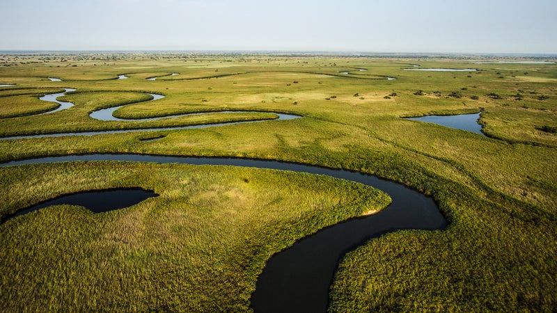 nature films